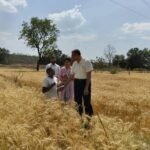 ओलावृष्टि से प्रभावित क्षेत्रों का कलेक्टर ने किया निरीक्षण, पारदर्शी सर्वे और त्वरित राहत के निर्देश