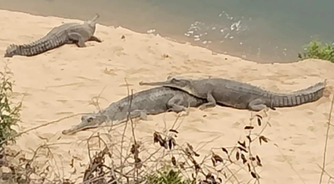 IMG 20260409 WA0021 News E 7 Live