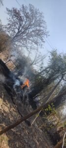 11Kb पोल टूटने से बाडी,पैरा में फैली आग,पास बधे गाय के 3बछड़े झुलसे