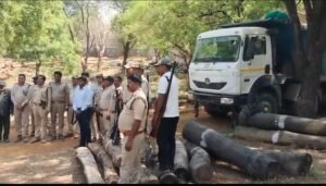 सोन में ‘रेत का काला खेल’ बेनकाब, आधी रात छापा, 9 हाईवा जप्त,माफिया में मचा हड़कंप!