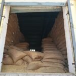 धान से भरे हैं गोदाम,कहां भंडारण होगा गेहूं उठ रहे सवाल?