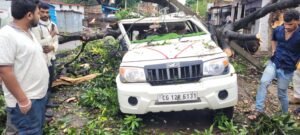 तेज आंधी का कहर,आम का विशाल पेड़ गिरा, बोलेरो-बाइक चकनाचूर, मासूम समेत तीन की जान बची