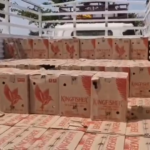 घुनघुटी में बड़ी कार्रवाई: मिनी ट्रक से 232 पेटी अवैध शराब जब्त, माफिया में मचा हड़कंप