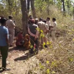 बांधवगढ़ में फिर बाघ का कहर,महुआ बीनने गई महिला की मौत, ग्रामीणों ने किया विरोध