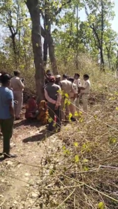 बांधवगढ़ में फिर बाघ का कहर,महुआ बीनने गई महिला की मौत, ग्रामीणों ने किया विरोध