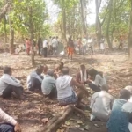 मधुमक्खियों का जानलेवा हमला,खेत में काम कर रहे वृद्ध किसान की मौत