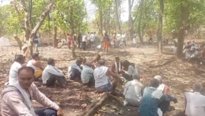 मधुमक्खियों का जानलेवा हमला,खेत में काम कर रहे वृद्ध किसान की मौत