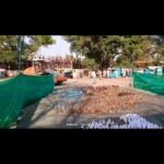 अवैध शराब माफियाओं पर बड़ा प्रहार, 7.64 लाख की जब्त मदिरा नष्ट, 507 मामलों से हड़कंप