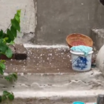 ओलों की मार से उजड़े खेत, अचानक बदले मौसम ने दी राहत और बढ़ाई चिंता