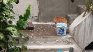 ओलों की मार से उजड़े खेत, अचानक बदले मौसम ने दी राहत और बढ़ाई चिंता