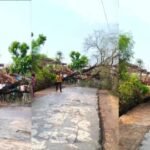 तेज आंधी-बारिश का कहर,रामगढ़ पंचायत में पेड़ गिरने से सड़क जाम, 5 गांवों की बिजली गुल, ग्रामीणों में भारी आक्रोश