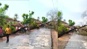 तेज आंधी-बारिश का कहर,रामगढ़ पंचायत में पेड़ गिरने से सड़क जाम, 5 गांवों की बिजली गुल, ग्रामीणों में भारी आक्रोश