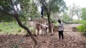 उद्यानिकी विभाग परिसर में एक अज्ञात महिला का शव पेड़ से लटका मिला शव