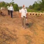 120 हरे-भरे आम के पेड़ों पर चली आरी, मड़वास के तीन बगीचे उजड़े