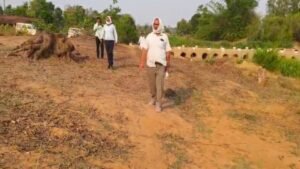 120 हरे-भरे आम के पेड़ों पर चली आरी, मड़वास के तीन बगीचे उजड़े