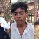 गैस सिलेंडर लेने जा रहे युवकों की बाइक से भिड़ी दूसरी मोटरसाइकिल, तीन गंभीर घायल