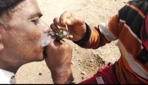 थाने के साए में नशे का कारोबार, सेमरिया में 200 मीटर दूरी पर खुलेआम गांजा बिक्री, पुलिस पर उठे गंभीर सवाल”