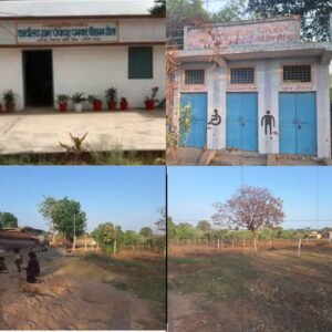 पनवार चौहान टोला ग्राम पंचायत में अव्यवस्थाओं का आरोप, ग्रामीणों ने प्रशासन से लगाई गुहार