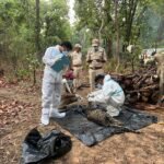 रहस्यमयी हालात में मिला तेंदुआ शावक का शव, बांधवगढ़ में मचा हड़कंप