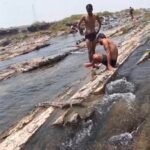 घड़ियाल के बच्चे संग खिलवाड़, मौत को दे रहे दावत,सोन घड़ियाल अभ्यारण के पास वायरल VIDEO ने खोली सुरक्षा व्यवस्था की पोल