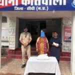कोतवाली पुलिस की बड़ी कार्रवाई: 1.100 किलो अवैध गांजा के साथ महिला तस्कर गिरफ्तार