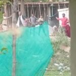 सीधी में खूनी संघर्ष: पुरानी रंजिश ने लिया हिंसक रूप, पथराव और लाठी-डंडों की मारपीट में 5 घायल...