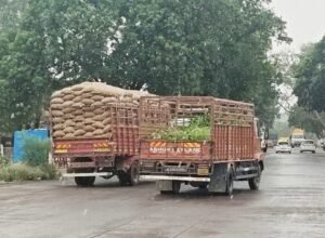 बारिश में भीगा सरकारी गेहूं,व्यवस्था पर उठे गंभीर सवाल