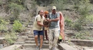 मगर की दर्द भरी और थोड़ी मजेदार कहानी,लो भाई... फिर आ गए ये लोग!