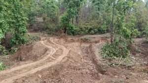मूलभूत सुविधा से वंचित हैं दर्जनों आदिवासी परिवार,मामला ग्राम पंचायत नौढ़िया एवं परसिली के कुकरैला टोला का