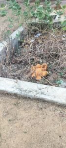 डेवा में असामाजिक तत्वों ने तोड़ी हनुमान जी की मूर्ति