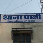 जंगल में जुआ महफिल पर पुलिस का धावा, 72 हजार की फड़ और पांच बाइकें जब्त, 6 जुआरी दबोचे