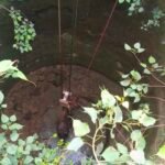 20 फीट गहरे कुएं में गिरी गाय को 15 लोगों ने बचाया, चार घंटे चले रेस्क्यू के बाद क्रेन से निकाला गया सुरक्षित