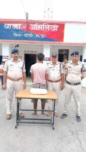 अमिलिया पुलिस की कार्रवाई: 1.5 किलो गांजा सहित तस्कर गिरफ्तार, ₹15,000 का माल जब्त