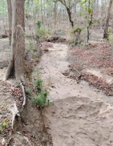 नेतागिरी की आड़ में रेत का खेल! मंच पर जनसेवा, नदी में अवैध उत्खनन का कारोबार