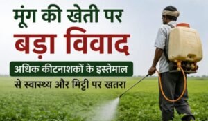 मूंग की खेती पर बढ़ा विवाद: अधिक कीटनाशकों के इस्तेमाल से स्वास्थ्य और मिट्टी पर खतरे की आशंका