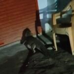 अमिलिया के बीच बाजार में घड़ियाल की दस्तक से मची दहशत: बीज भंडार में घुसने की कोशिश, घंटों बाद रेस्क्यू